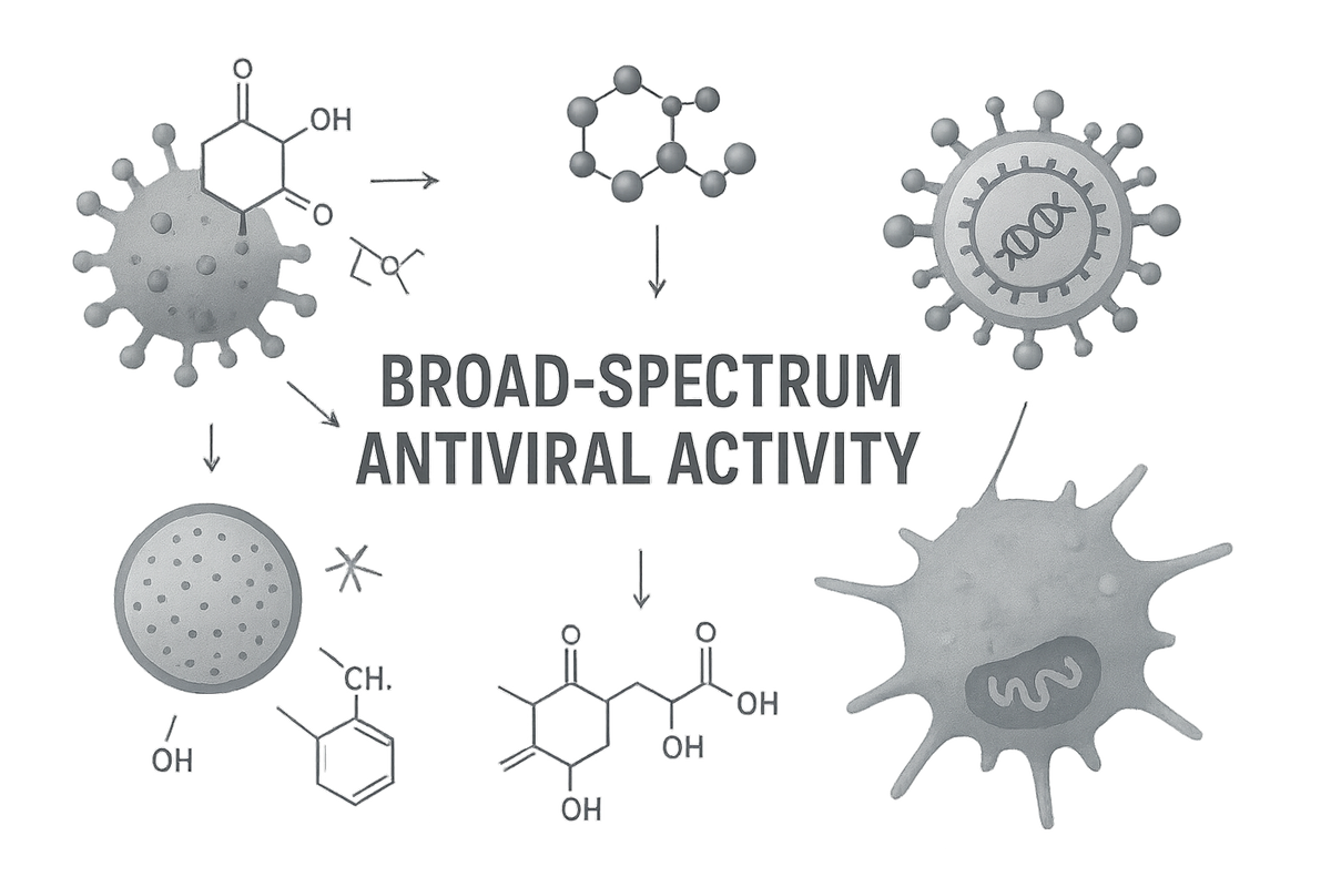 Broad-Spectrum Antiviral Activity with transparent background